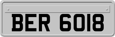 BER6018