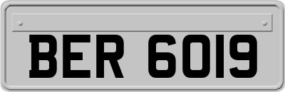 BER6019