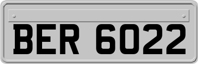 BER6022