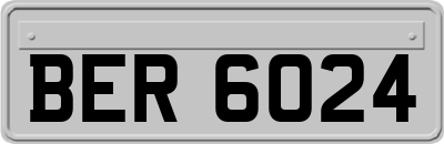 BER6024