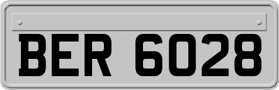 BER6028