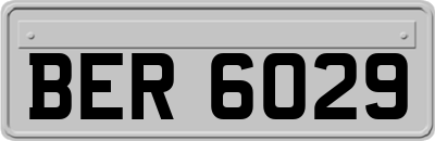 BER6029