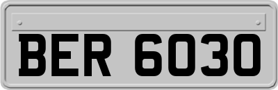 BER6030