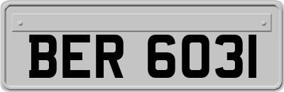 BER6031