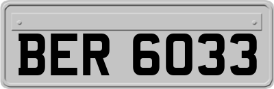 BER6033