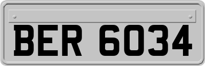 BER6034