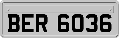 BER6036