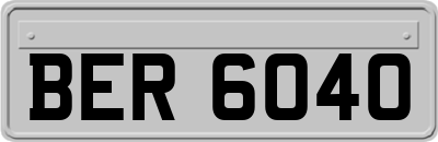 BER6040