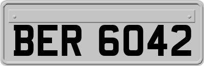 BER6042