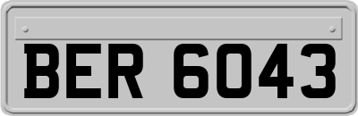 BER6043