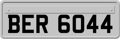 BER6044