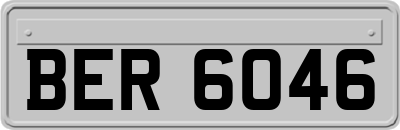 BER6046