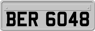 BER6048