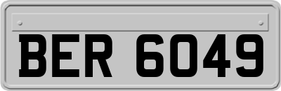 BER6049