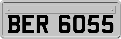 BER6055