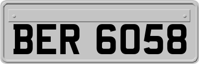 BER6058