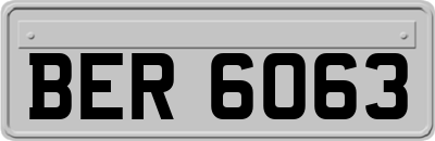 BER6063