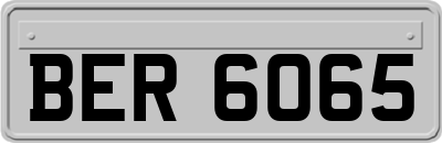 BER6065