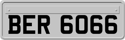 BER6066