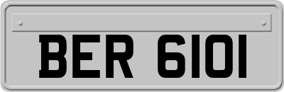 BER6101