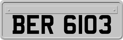 BER6103