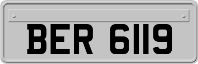 BER6119