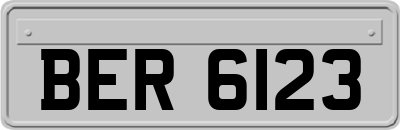 BER6123