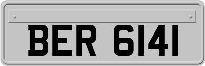 BER6141