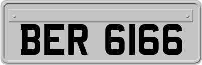 BER6166