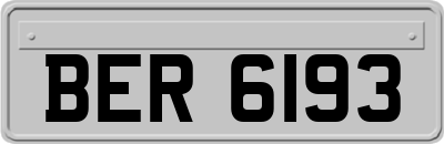 BER6193