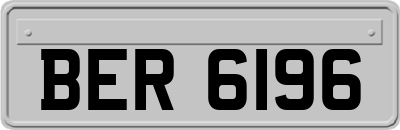 BER6196