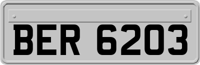 BER6203