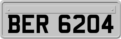 BER6204