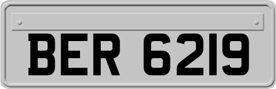 BER6219