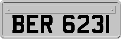 BER6231