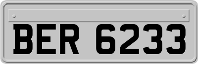 BER6233