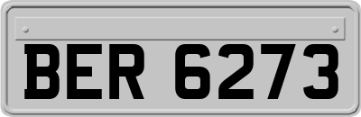 BER6273