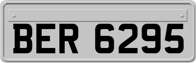 BER6295