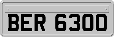 BER6300