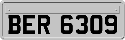 BER6309