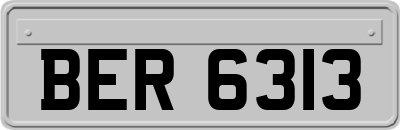 BER6313