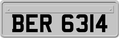 BER6314