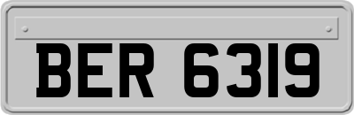 BER6319