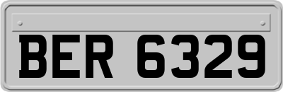 BER6329