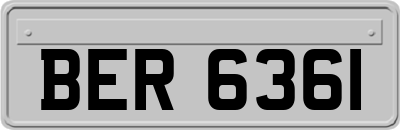 BER6361