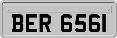 BER6561