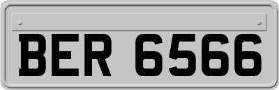 BER6566