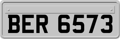 BER6573