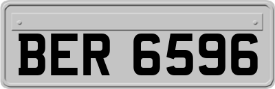 BER6596