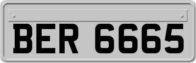 BER6665